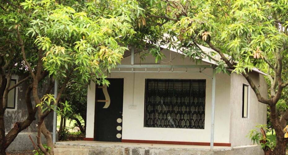 Govindbhai Zala Homestay, Somnath 2